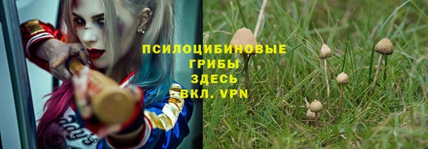 мяу мяу мука Алексеевка