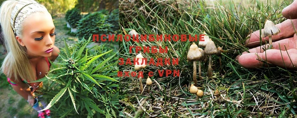 кокаин колумбия Алексин