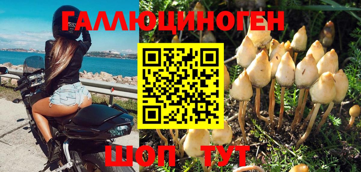 Псилоцибиновые грибы Psilocybe  Вход с VPN  Североуральск 